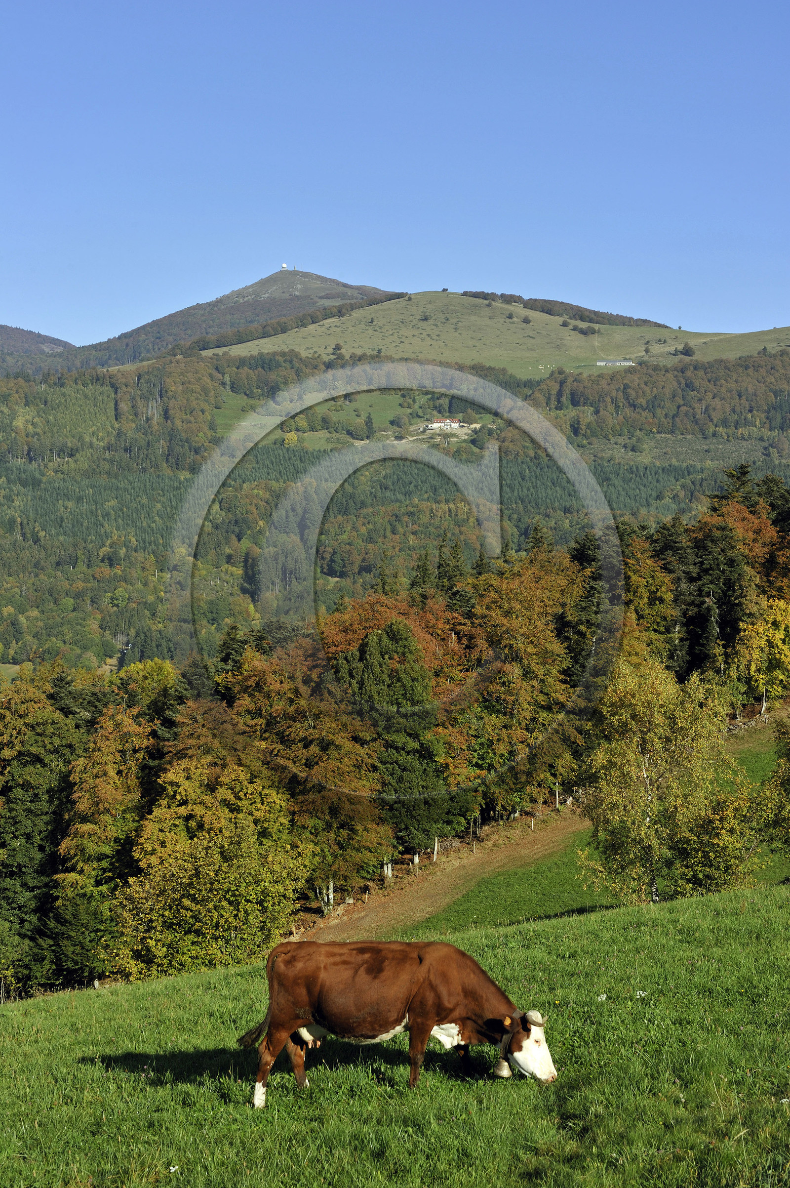 France, Grand Ballon