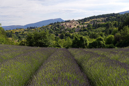 France, Mont Ventoux