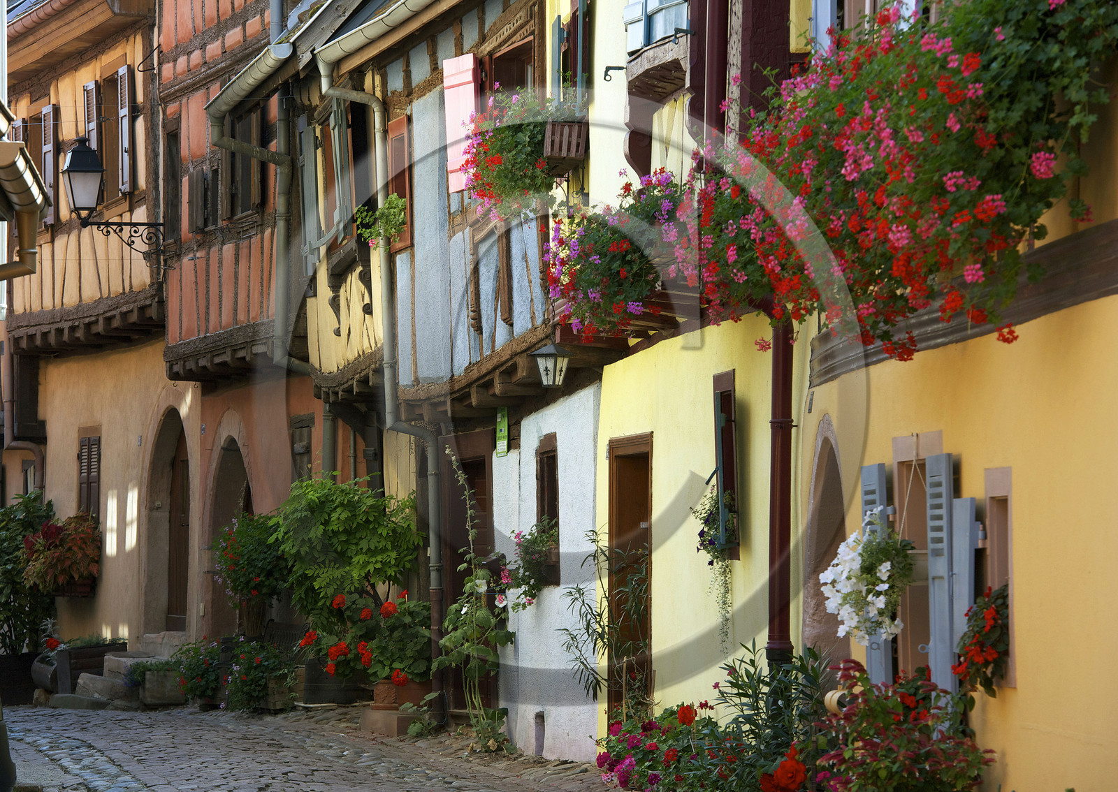 France, Eguisheim
