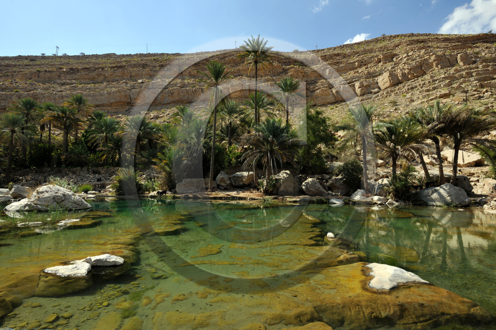 Oman, Wadi Bani Khalid
