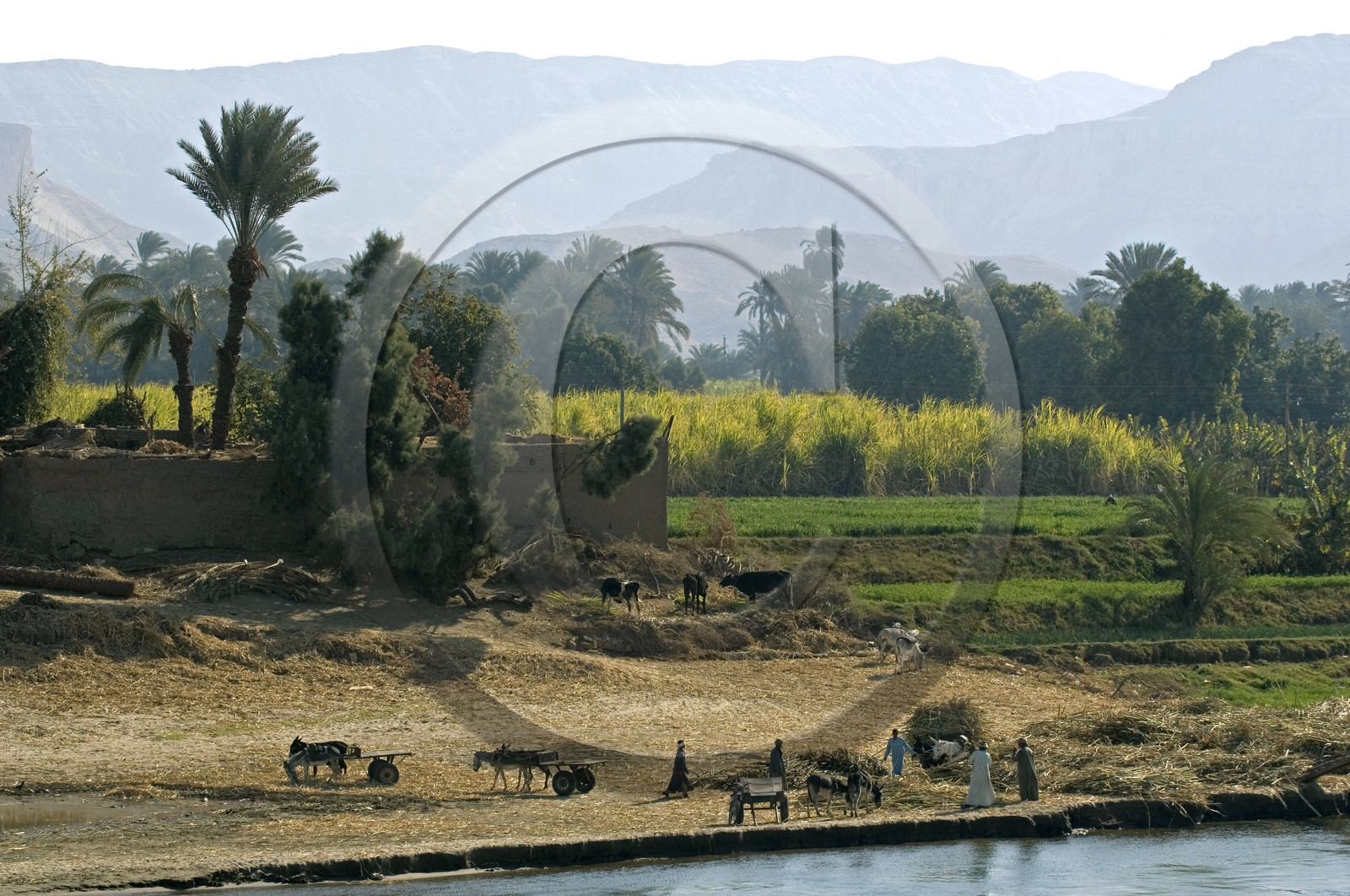 Egypte, Vallée du Nil