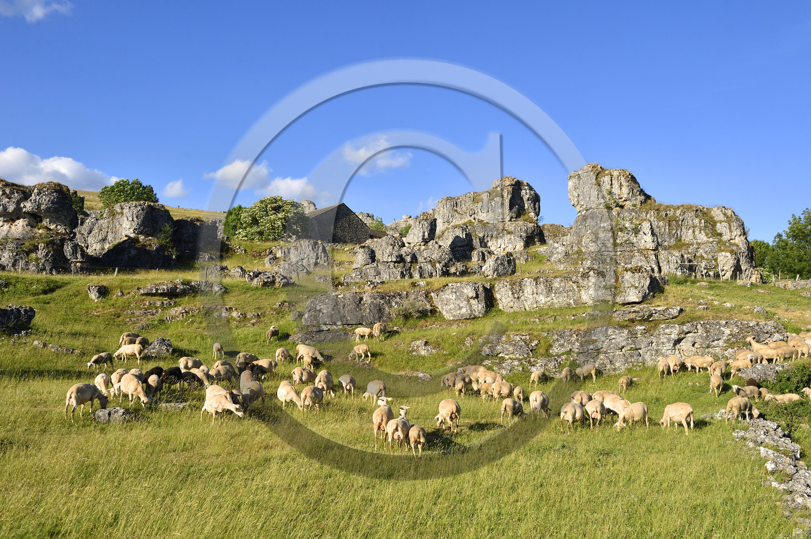 France, Nimes le Vieux