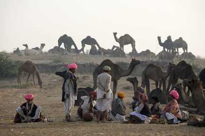 Inde, Pushkar