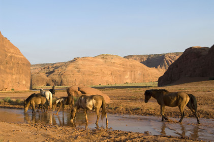 USA, MONUMENT VALLEY