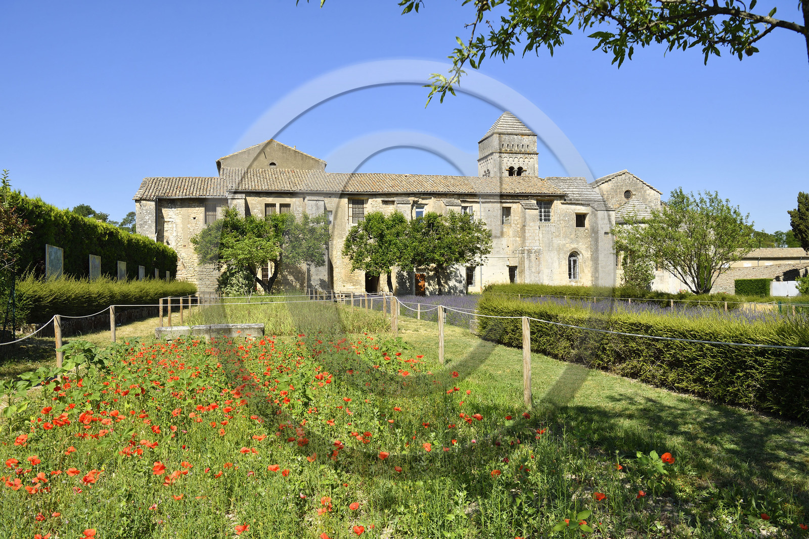 France, Saint Remy de Provence