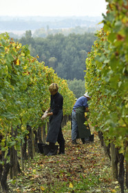 France, Dambach la Ville