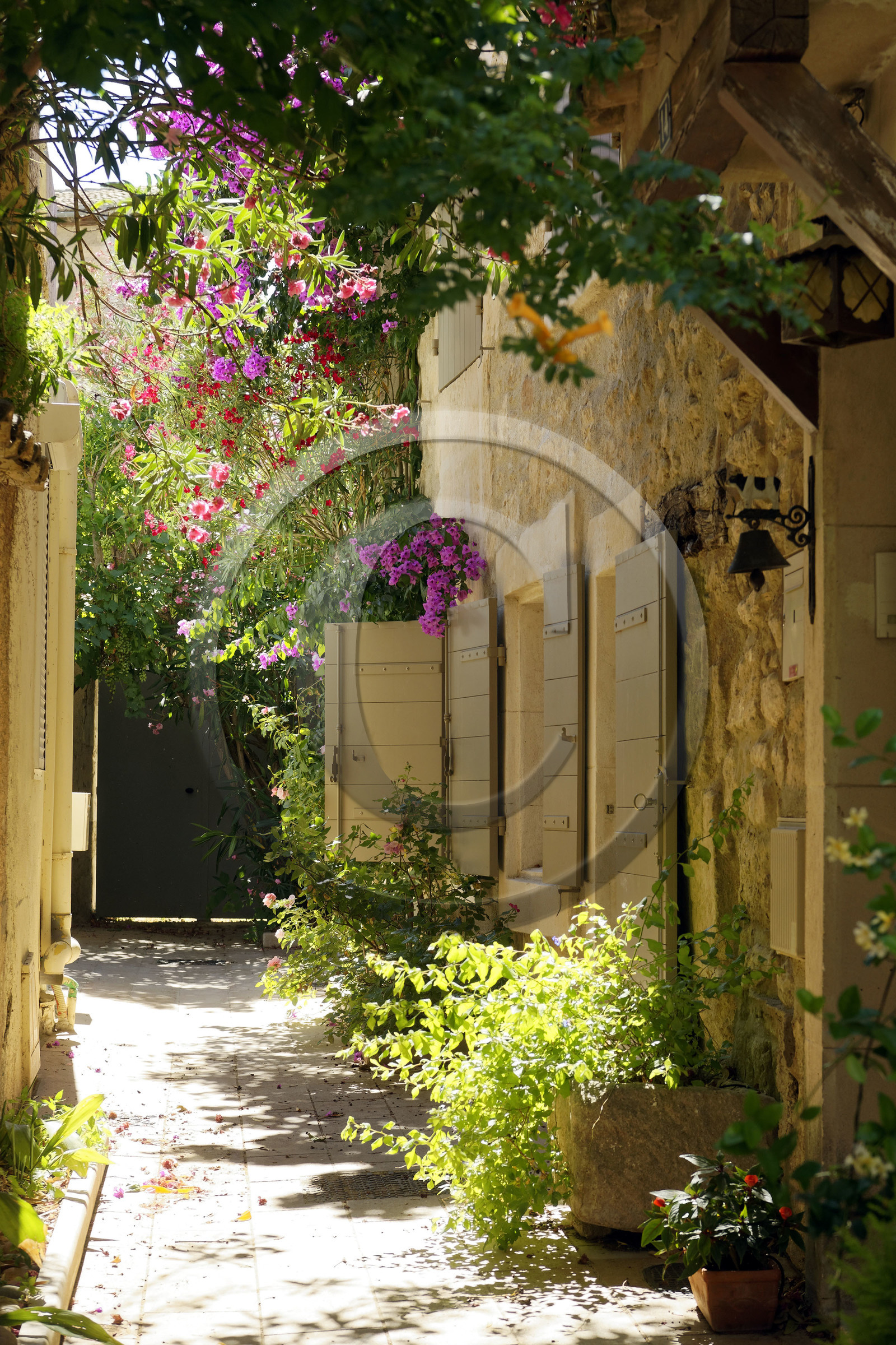 France, Saint Remy de Provence