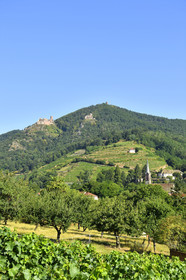 France,  Ribeauville