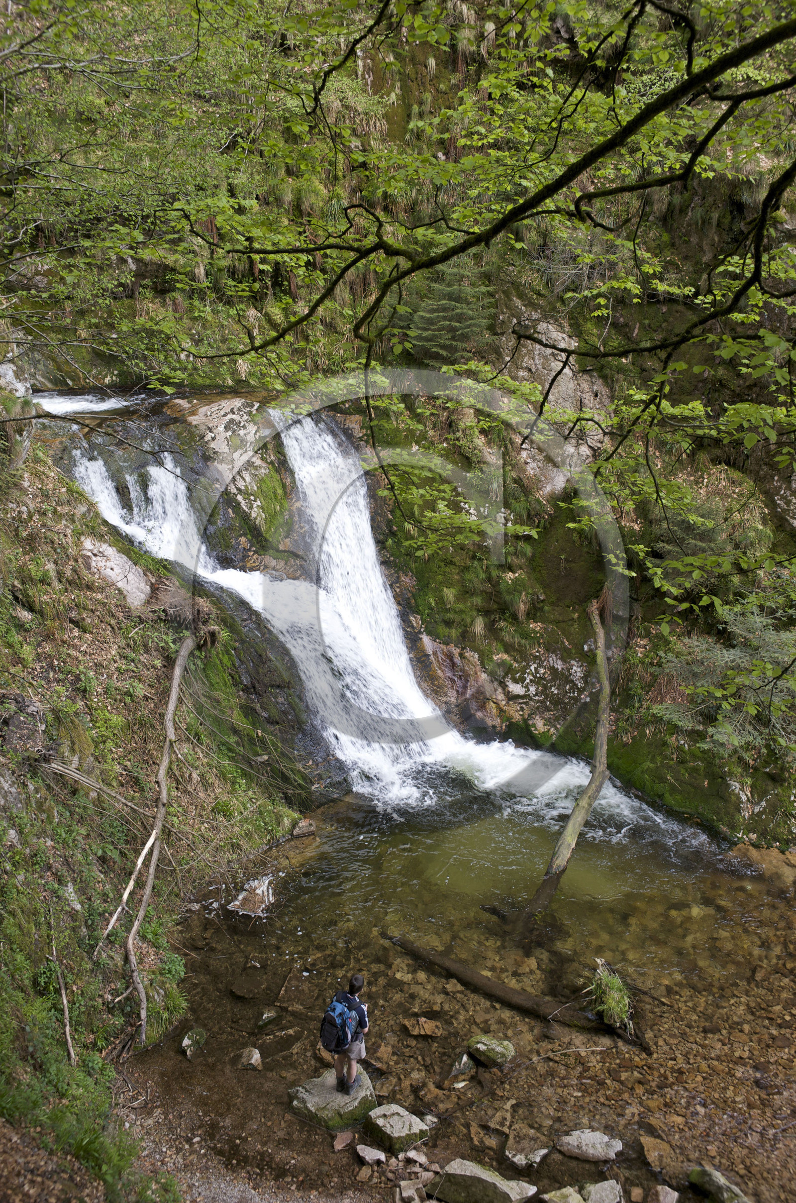 Allemagne, Forêt Noire