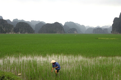 TAM COC, VIETNAM