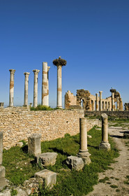 Volubilis, Morokko