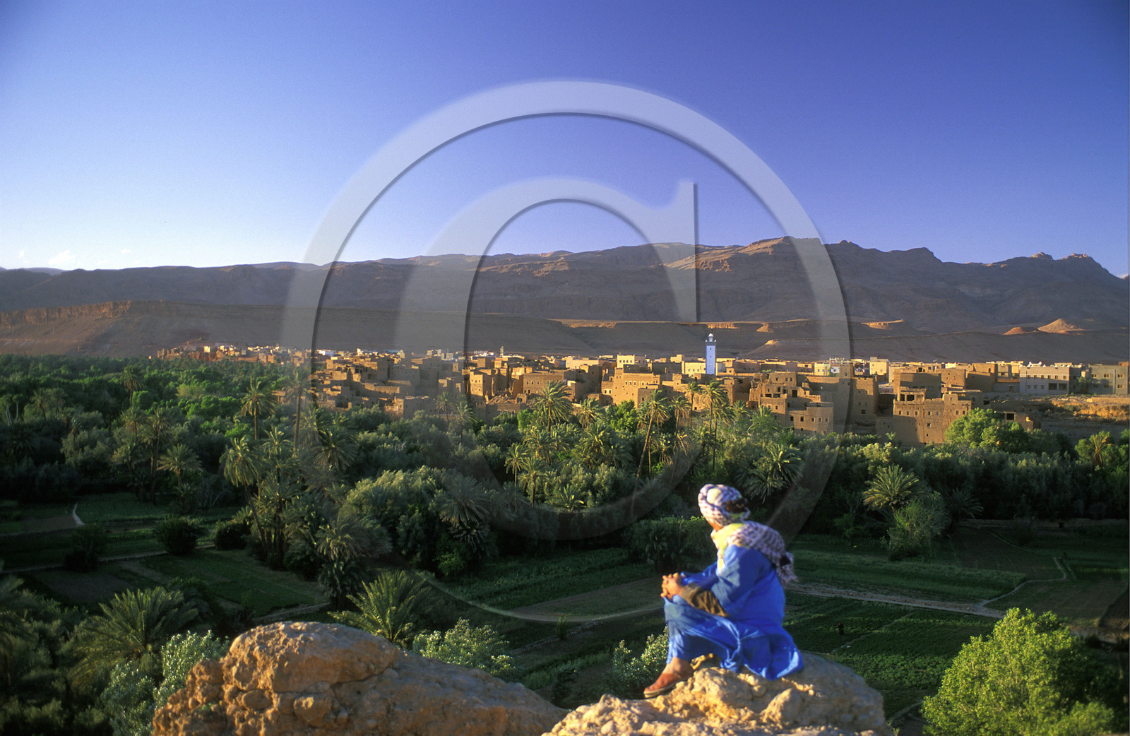 MAROC SUD  TINEGHIR.LA PALMERAIE AU 1ER PLAN