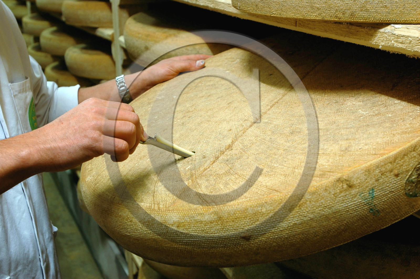 Franche-Comte, France