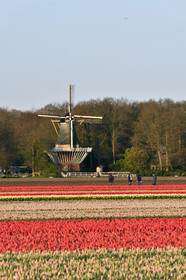 Hollande, Keukenhof