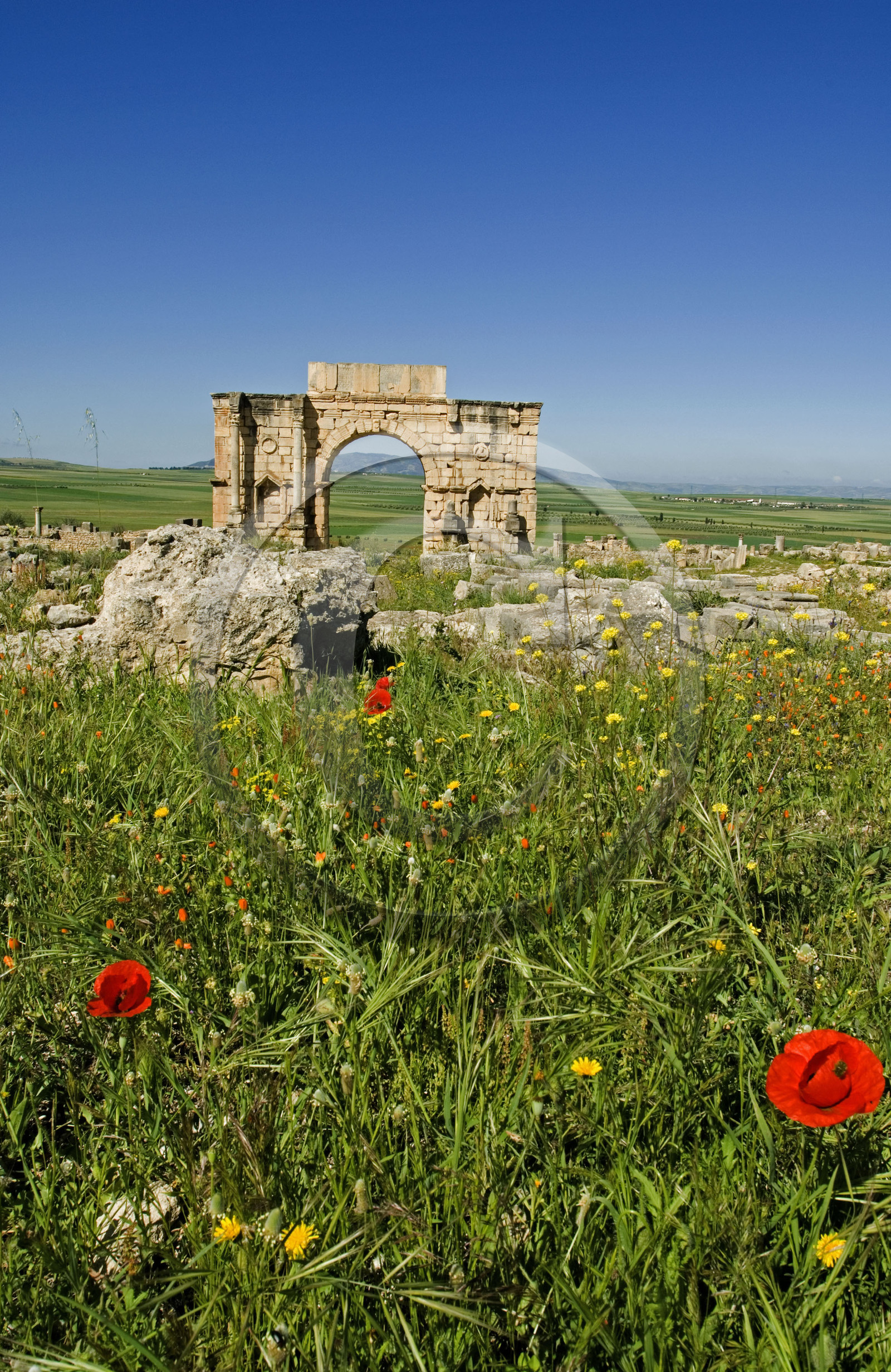 Volubilis, Morokko