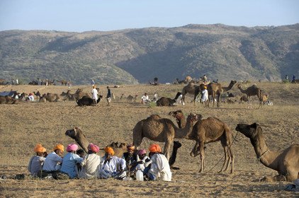 Inde, Pushkar
