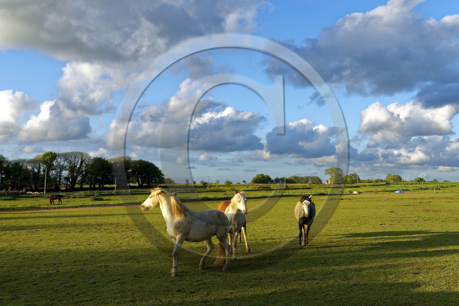 France, St Thegonnec