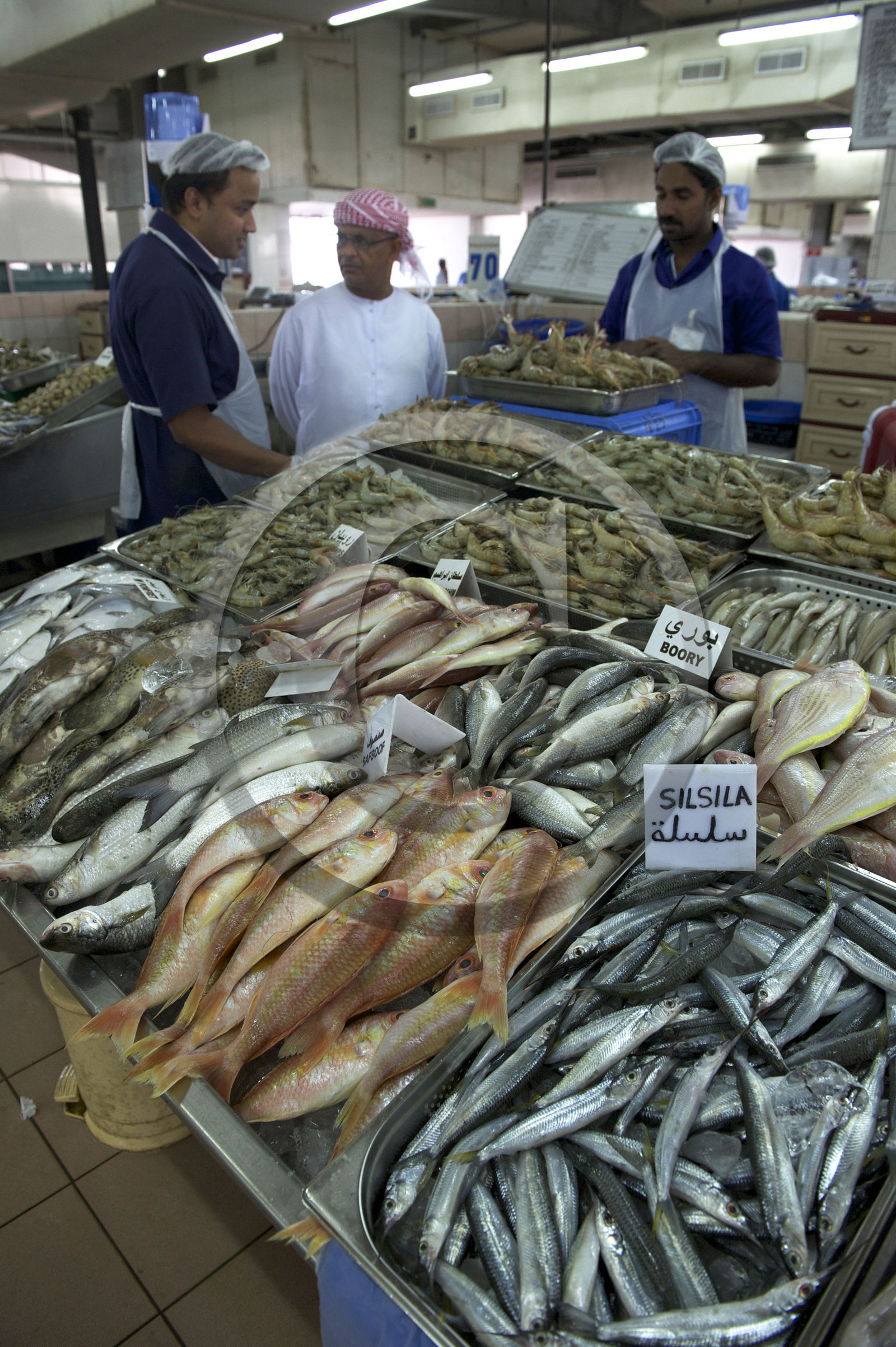 Abu Dhabi, Emirats Arabe Unis