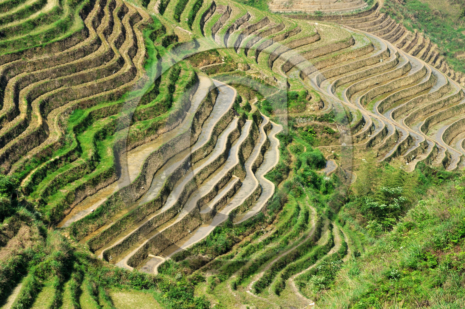 Chine, Longsheng