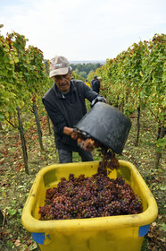 France, Dambach la Ville