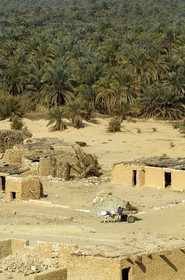 Egypte, Siwa