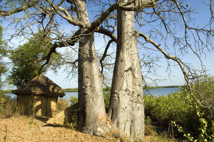 Saloum, Sénégal
