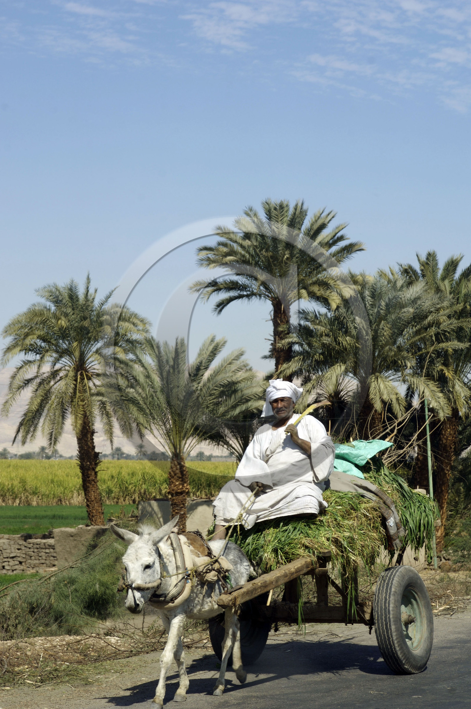 Egypte, Vallée du Nil