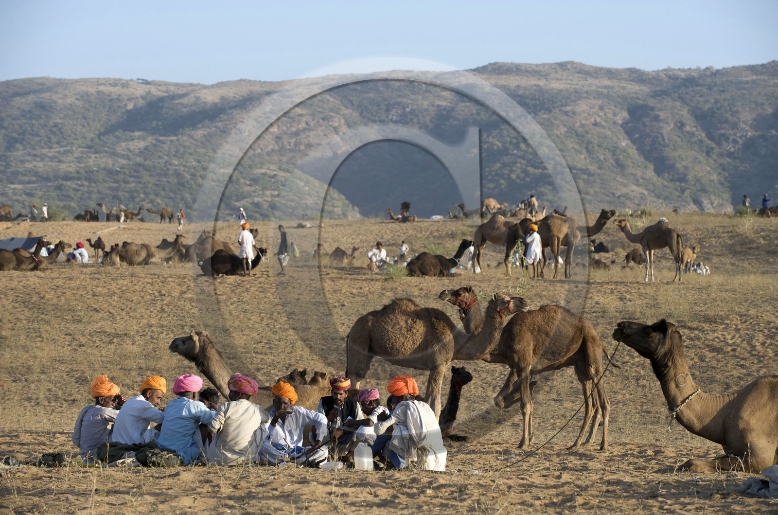 Inde, Pushkar