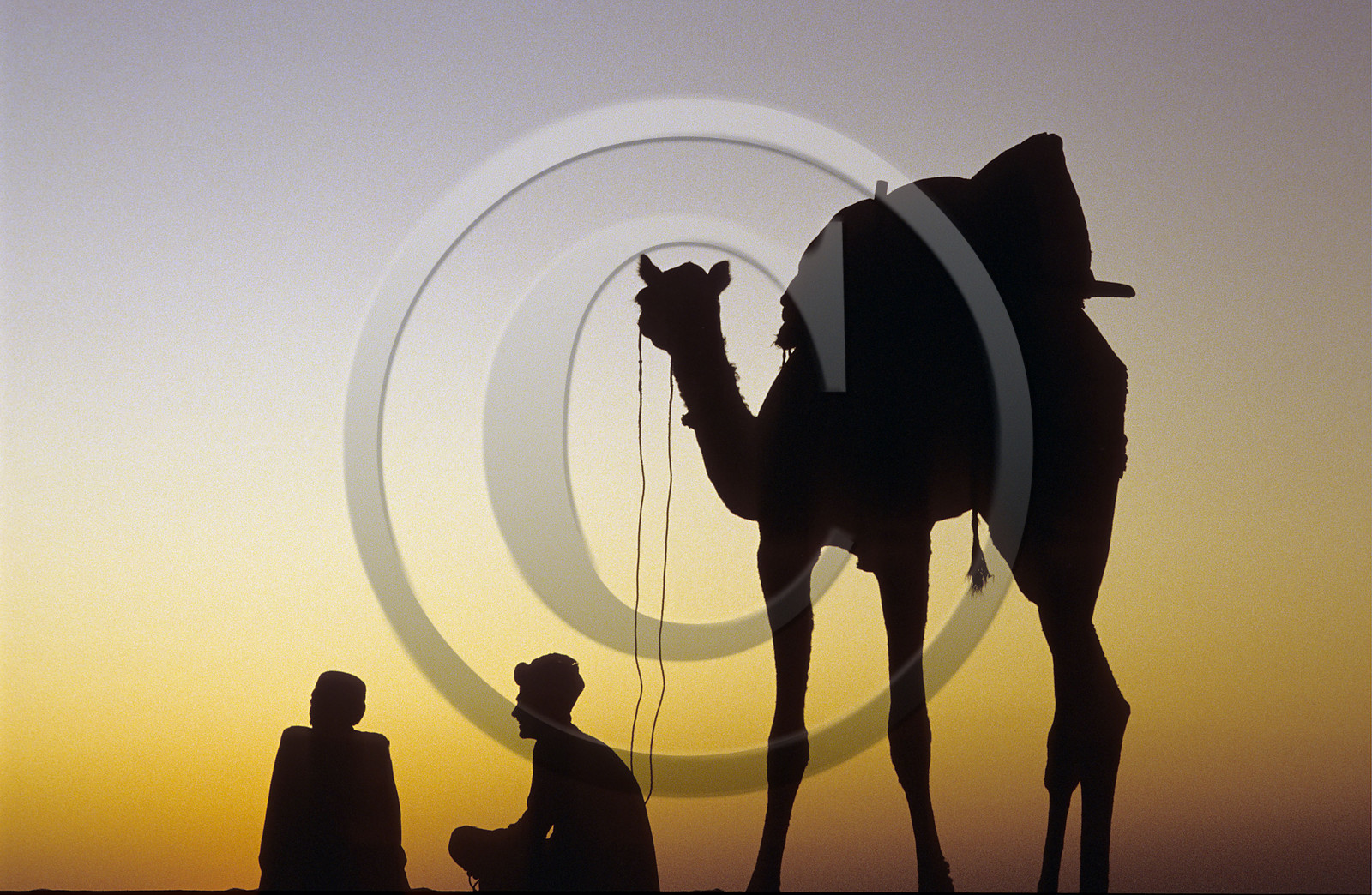 Pushkar, Rajasthan, Inde