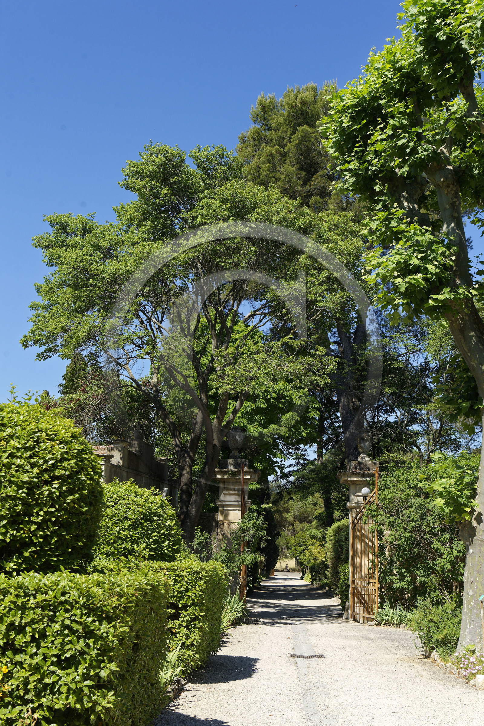 France, Saint Remy de Provence