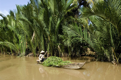 DELTA DU MEKONG, VIETNAM