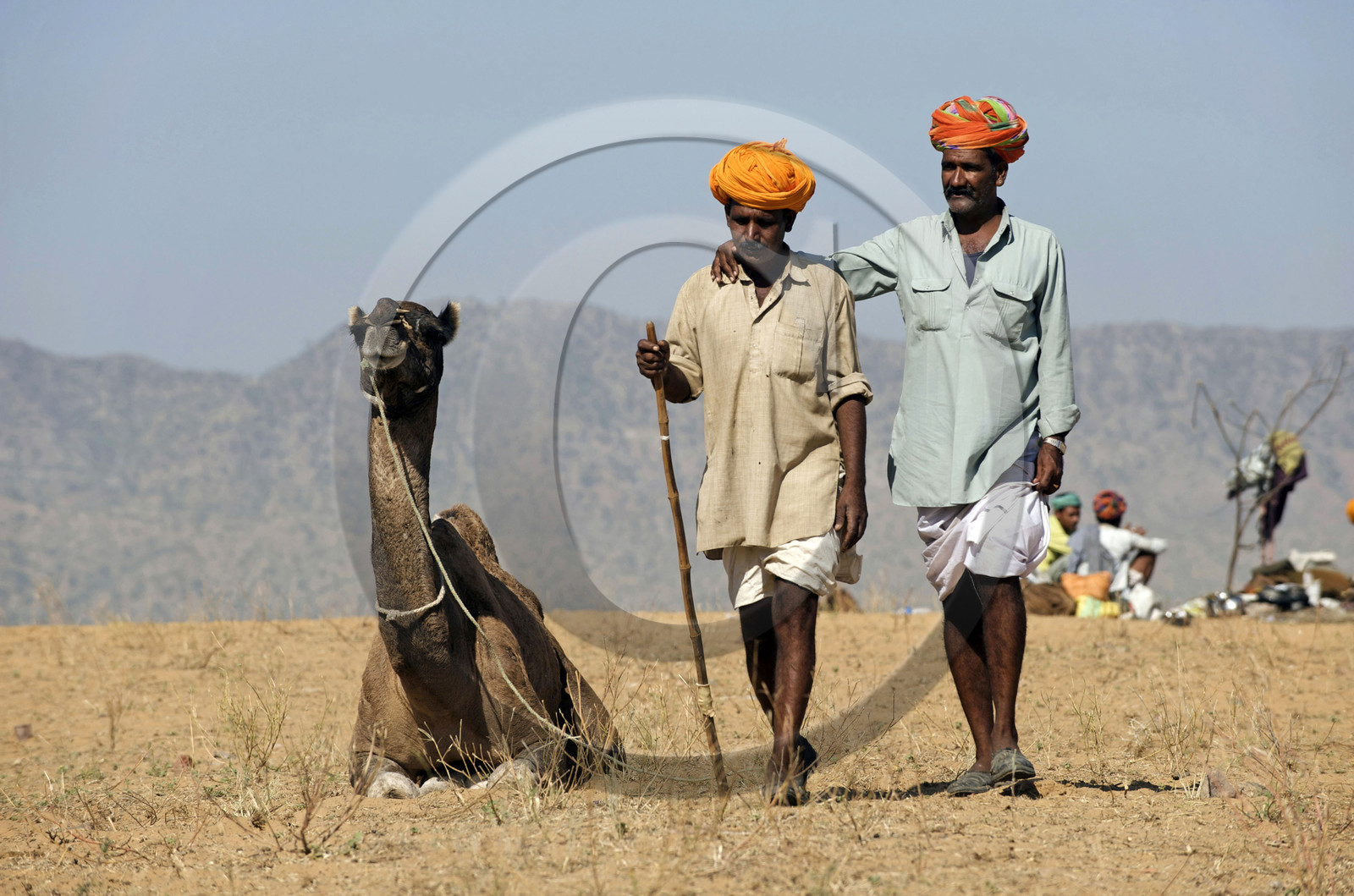 Inde, Pushkar