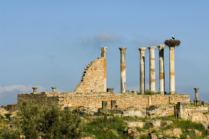 Volubilis, Morokko