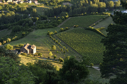 France, Gorges du Tarn