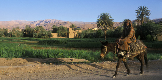 MAROC SUD  TINEGHIR.