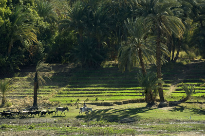 Egypte, vallée du Nil