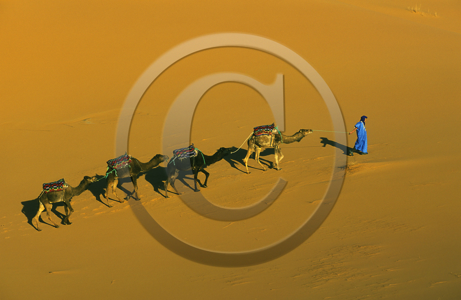 MAROC SUD   MERZOUGA.ERG CHERBI