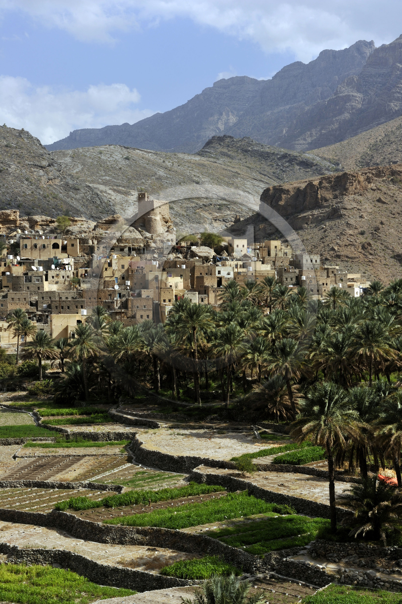 Oman, Rustaq