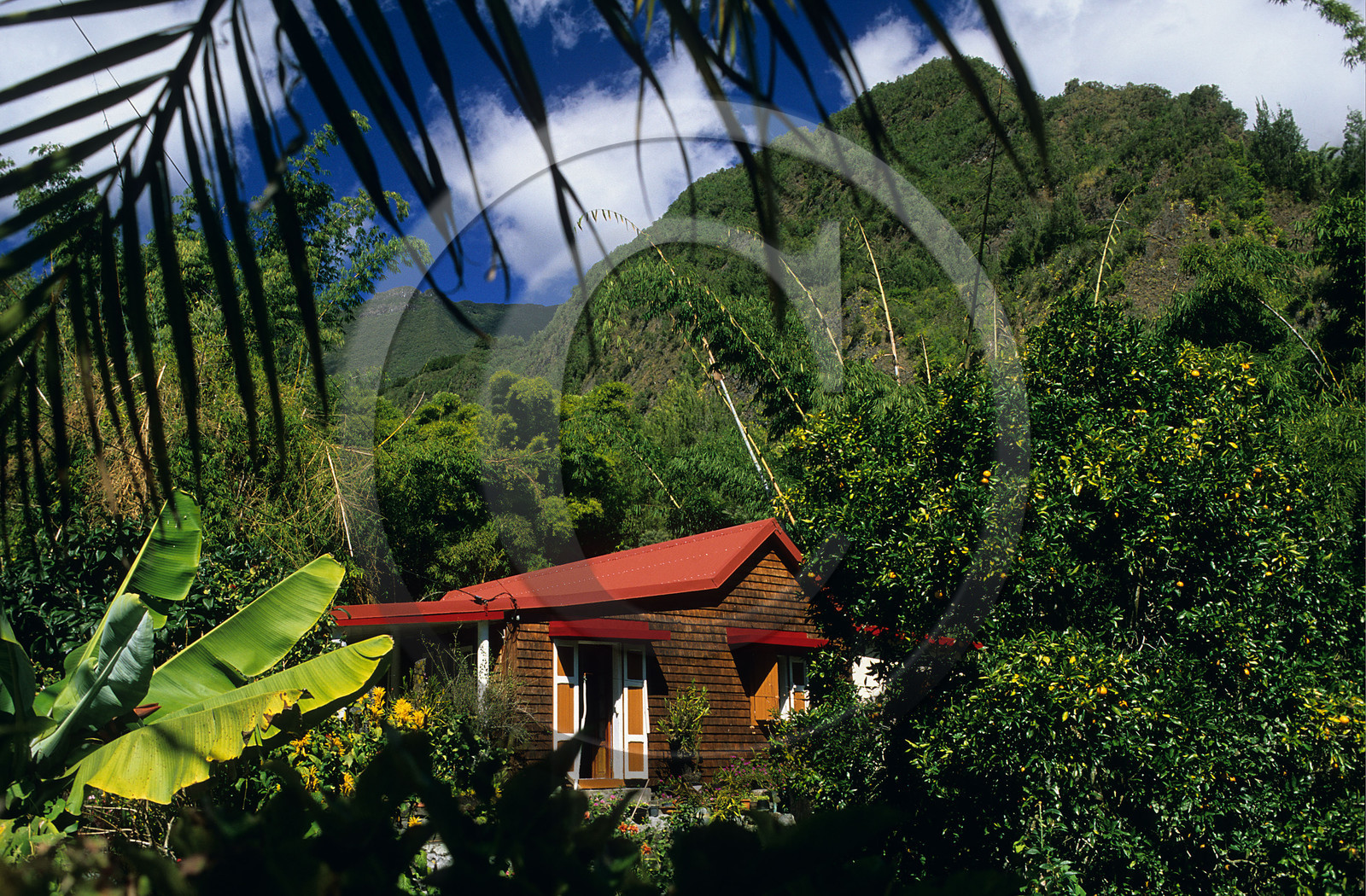 Ile de la Réunion.France