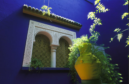 MAROC   MARRAKECH.JARDINS MAJORELLE