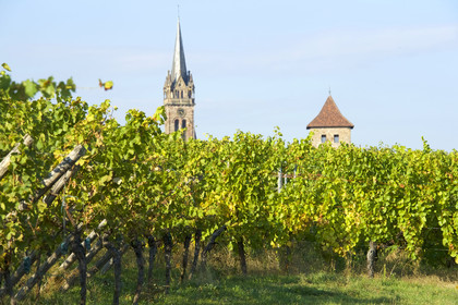 France, Dambach la Ville