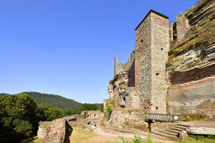 France, Fleckenstein