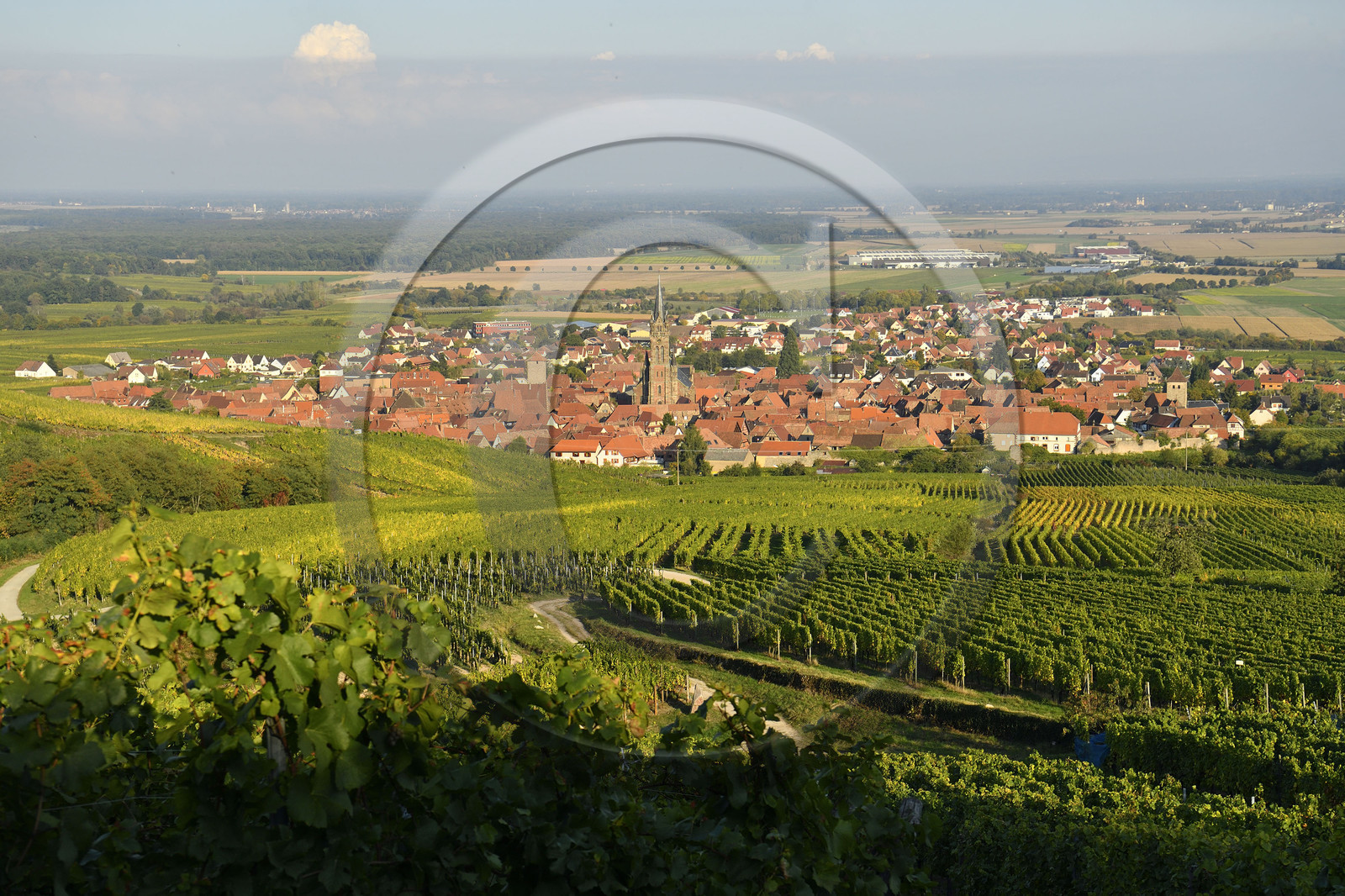 France, Dambach la Ville