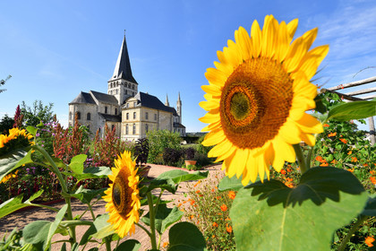 France, Boscherville