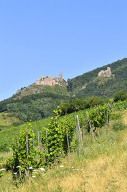 France,  Ribeauville