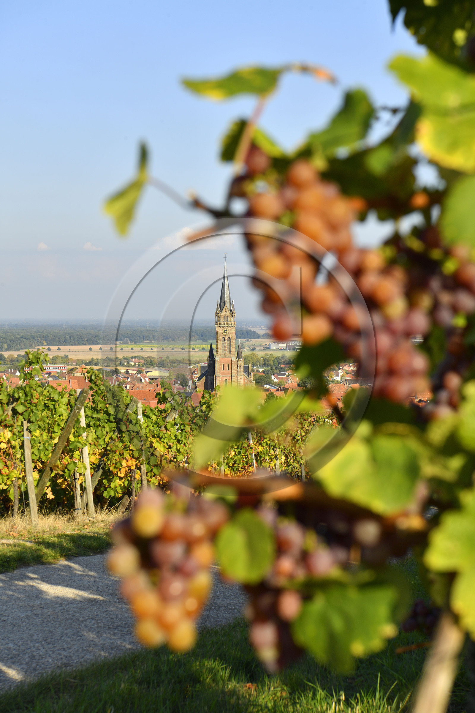 France, Dambach la Ville