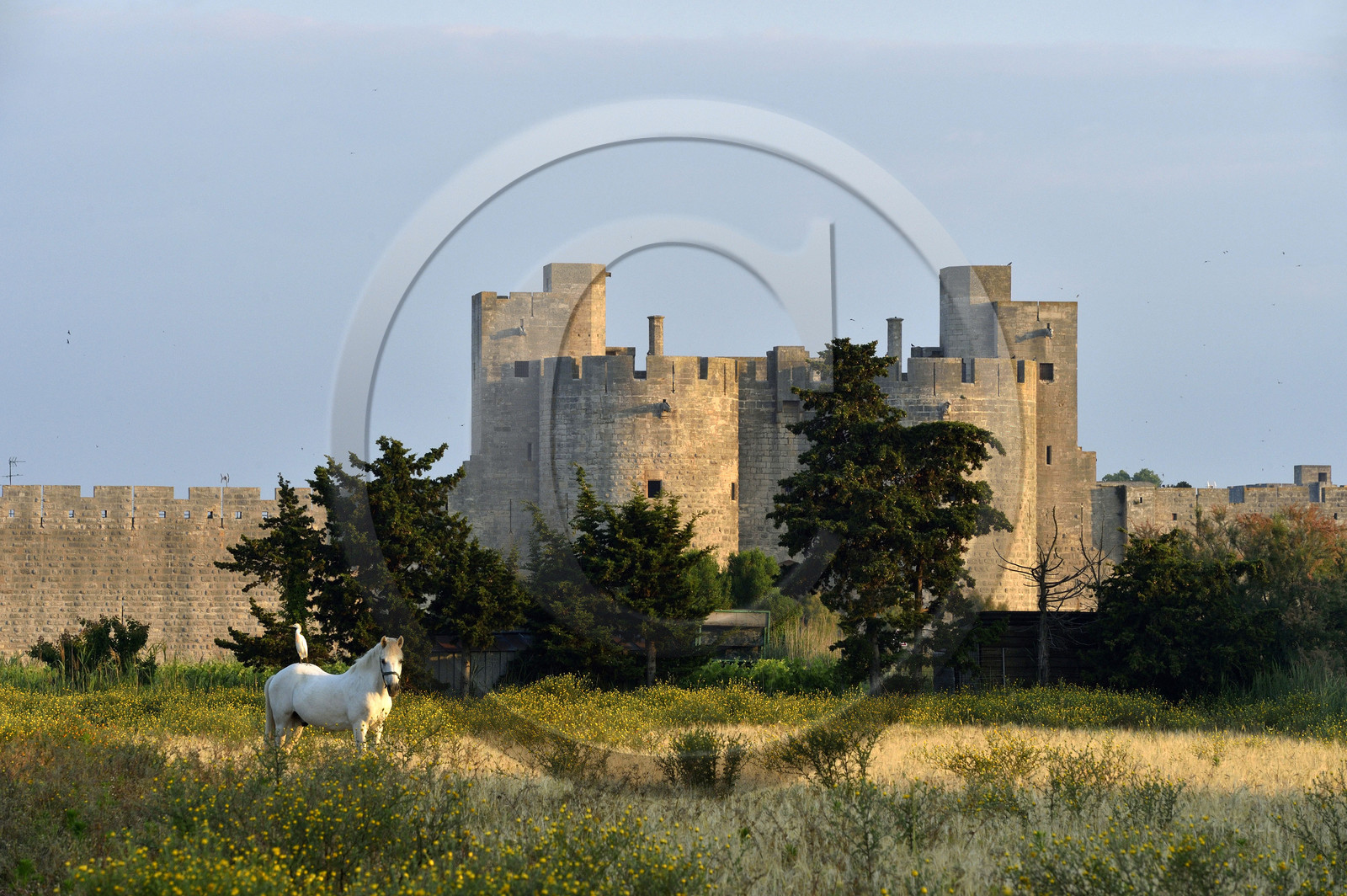 France, Aigues Mortes