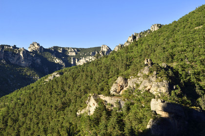 France, Montpellier Vieux