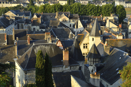 France,  Chinon