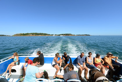 France, Côtes-d'Armor (22), île de Bréhat, vedettes de Bréhat (ferry pour l'ile de Bréhat)